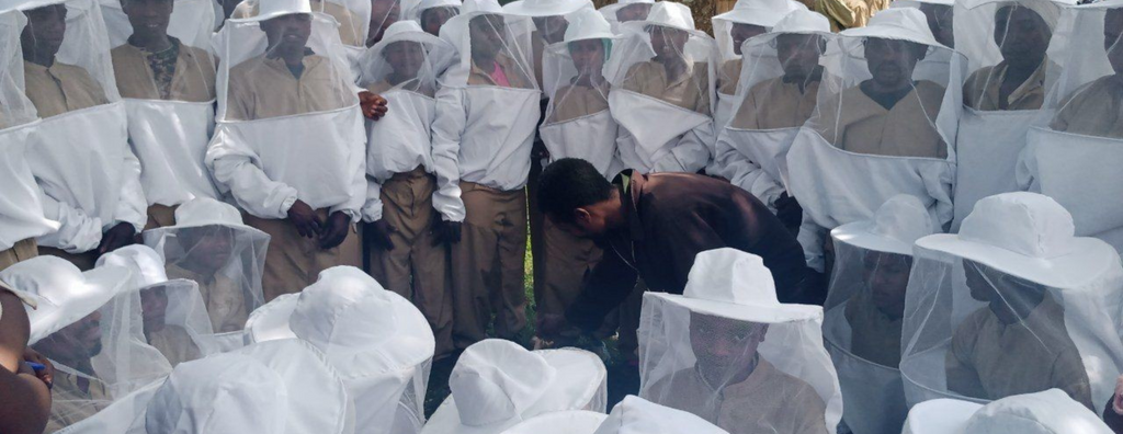 ethical beekeeping in Ethiopia