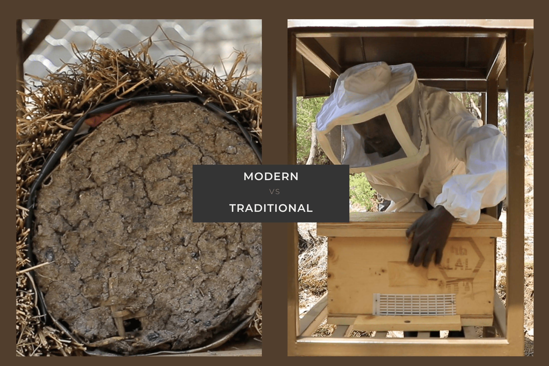Traditional and modern beehives side by side, showcasing the evolution of beekeeping.