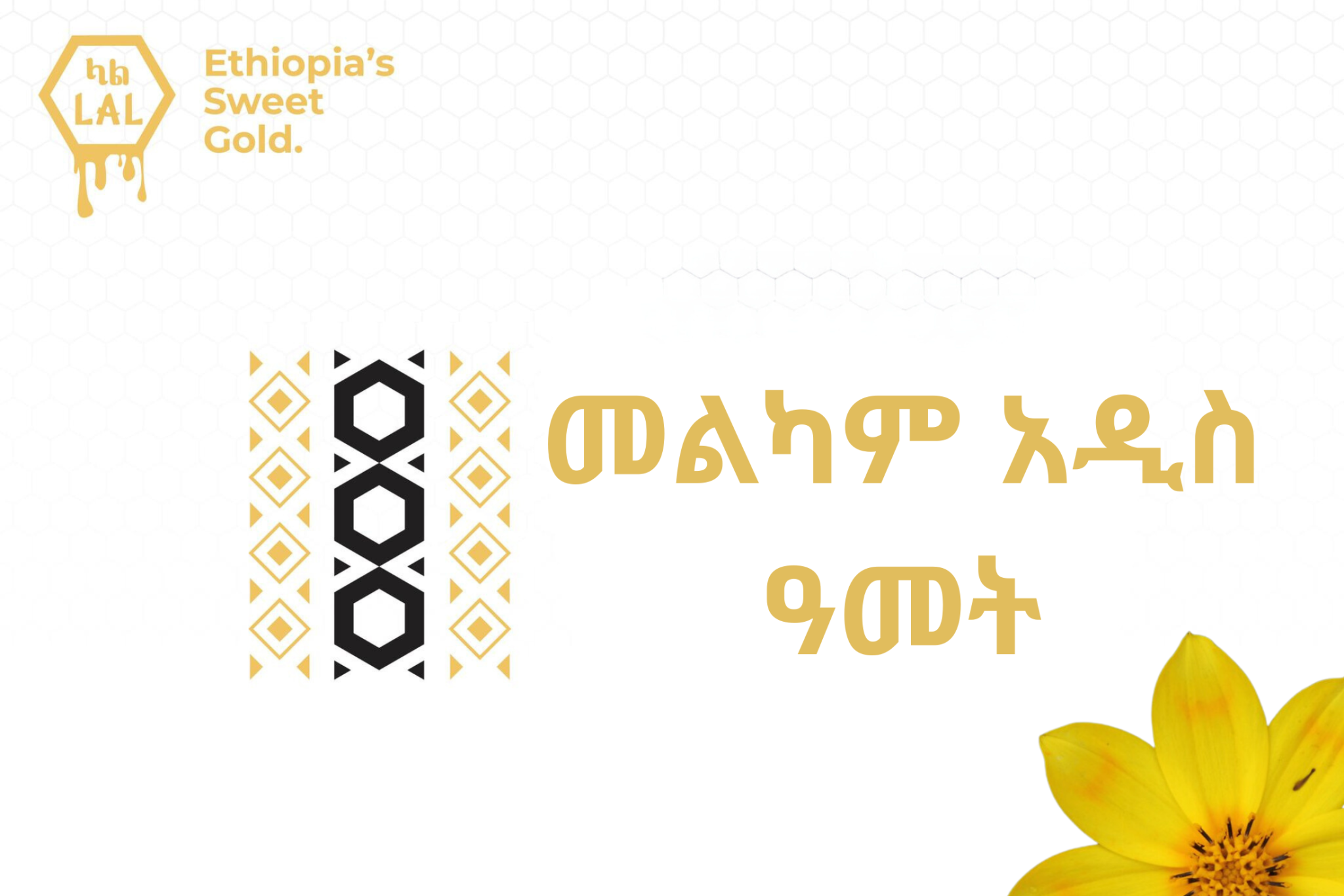 ethiopia-s-2016-in-2023-the-ethiopian-calendar-mystery