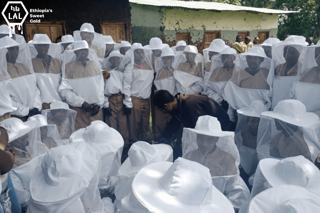 modern beekeeping in Ethiopia